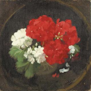 James Stuart Park - Geraniums