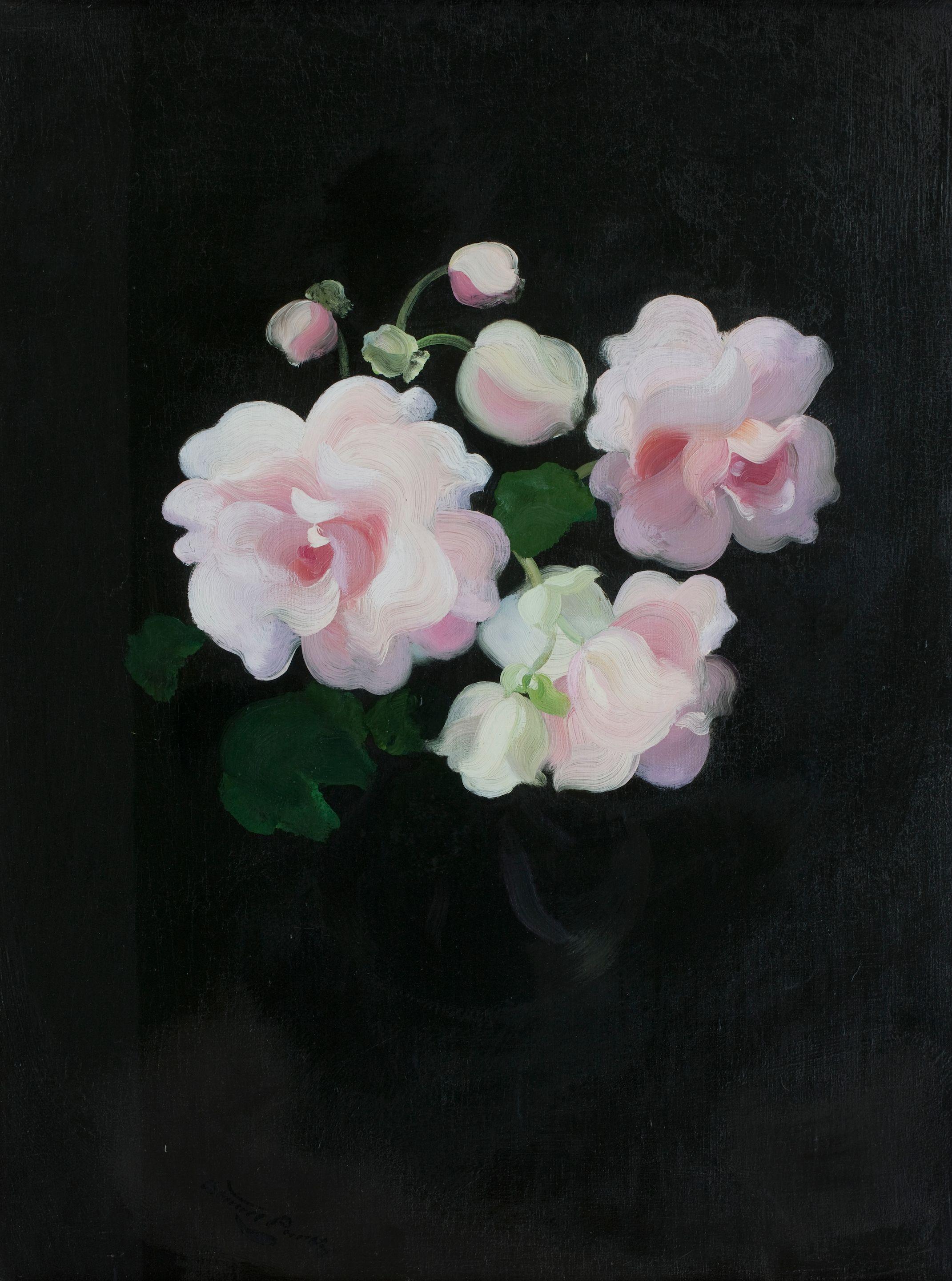 James Stuart Park - Pink Anemones