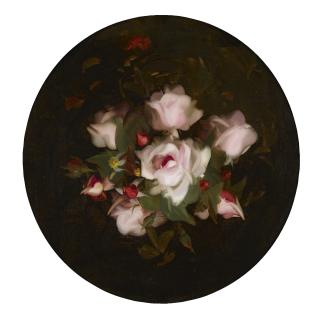 James Stuart Park - Pink Roses