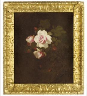 James Stuart Park - Pink roses