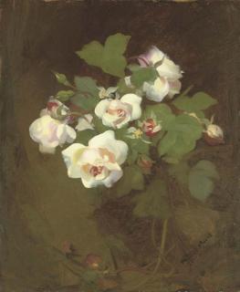 James Stuart Park - Pink roses