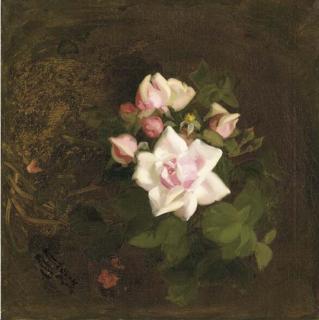 James Stuart Park - Pink roses