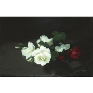 James Stuart Park - Red And White Roses