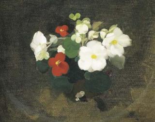 James Stuart Park - White and red camellias