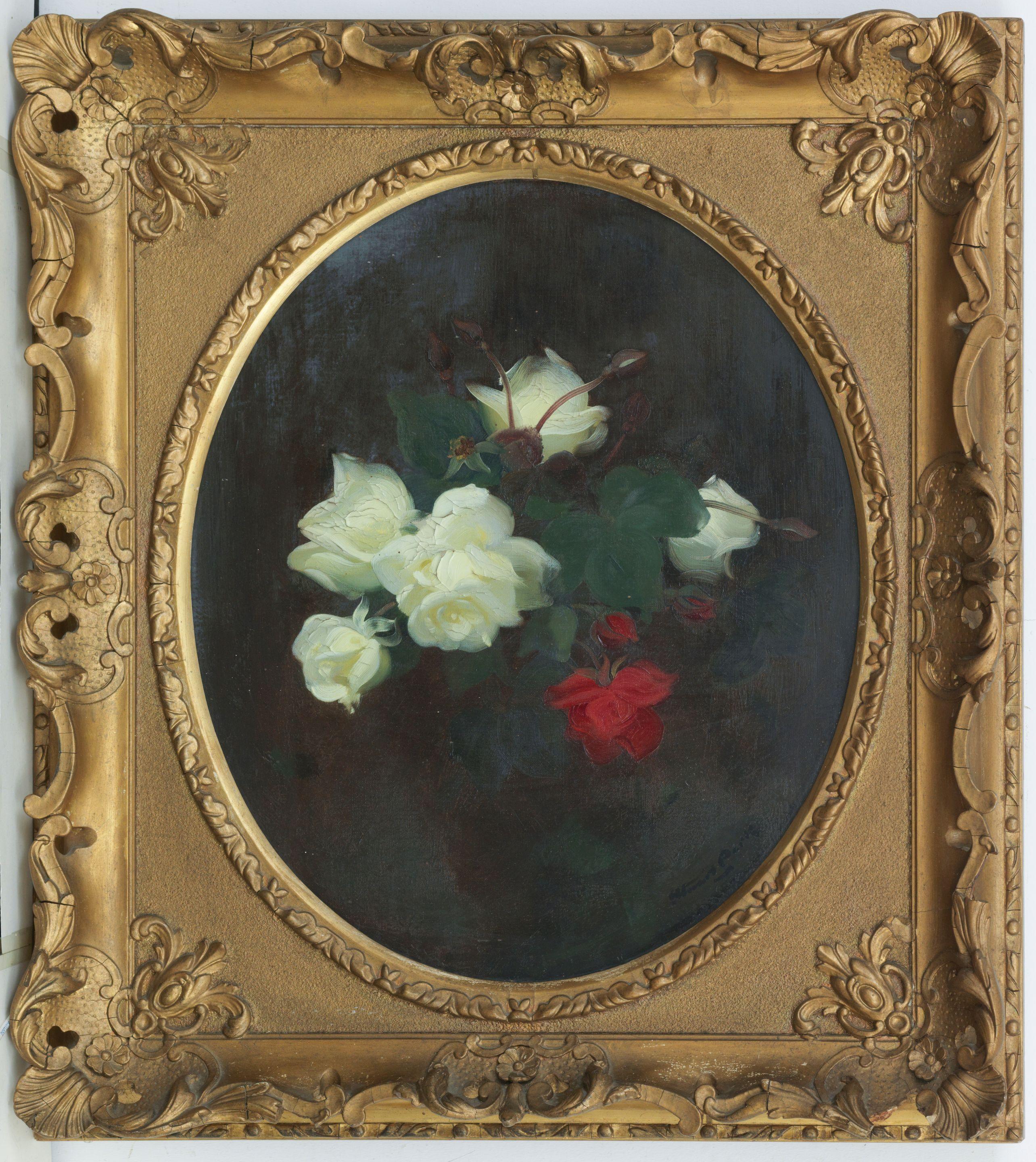 James Stuart Park - White and red roses