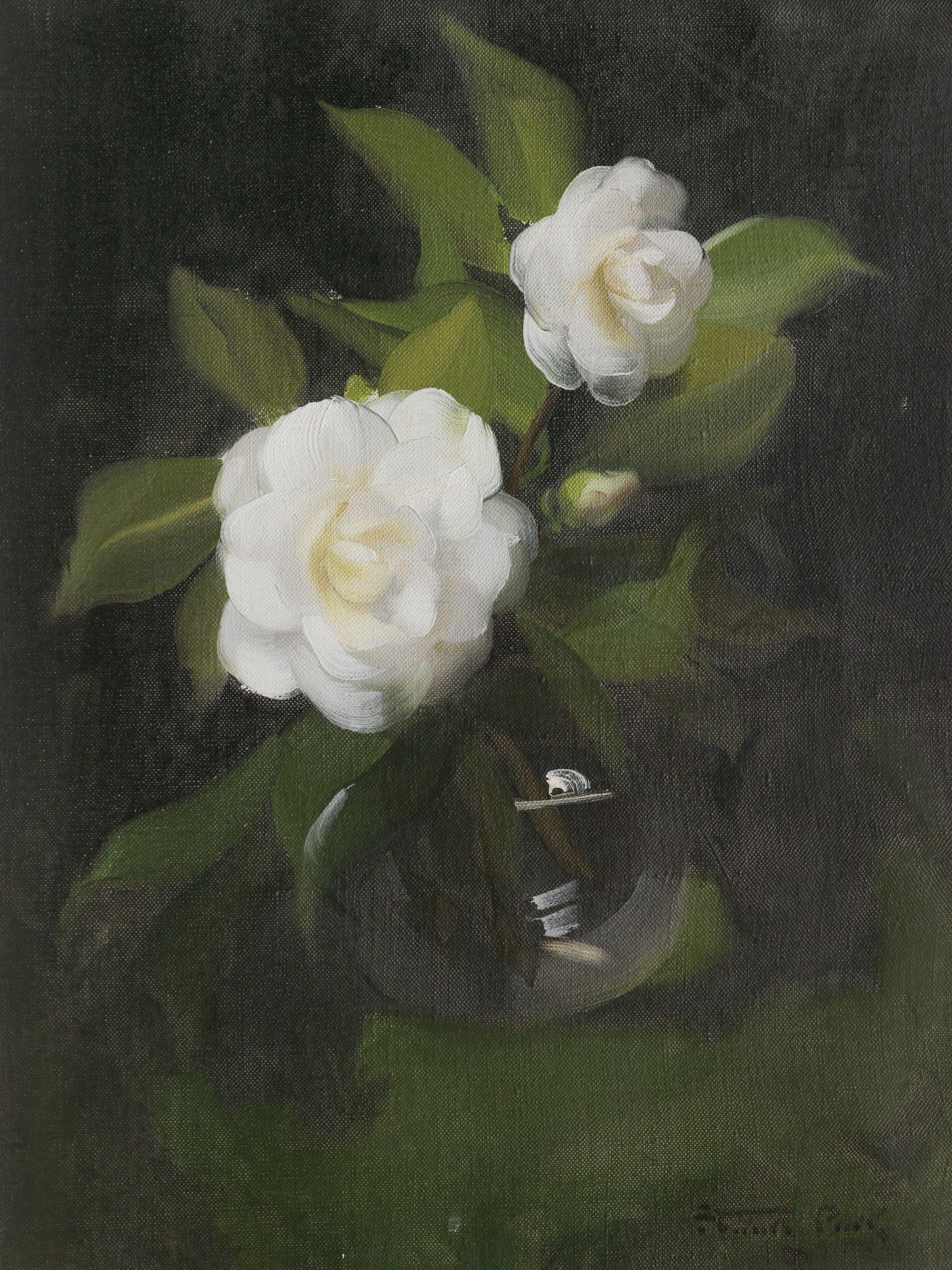 James Stuart Park - White Roses