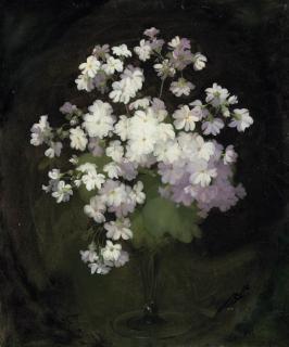 James Stuart Park - White violas in a vase