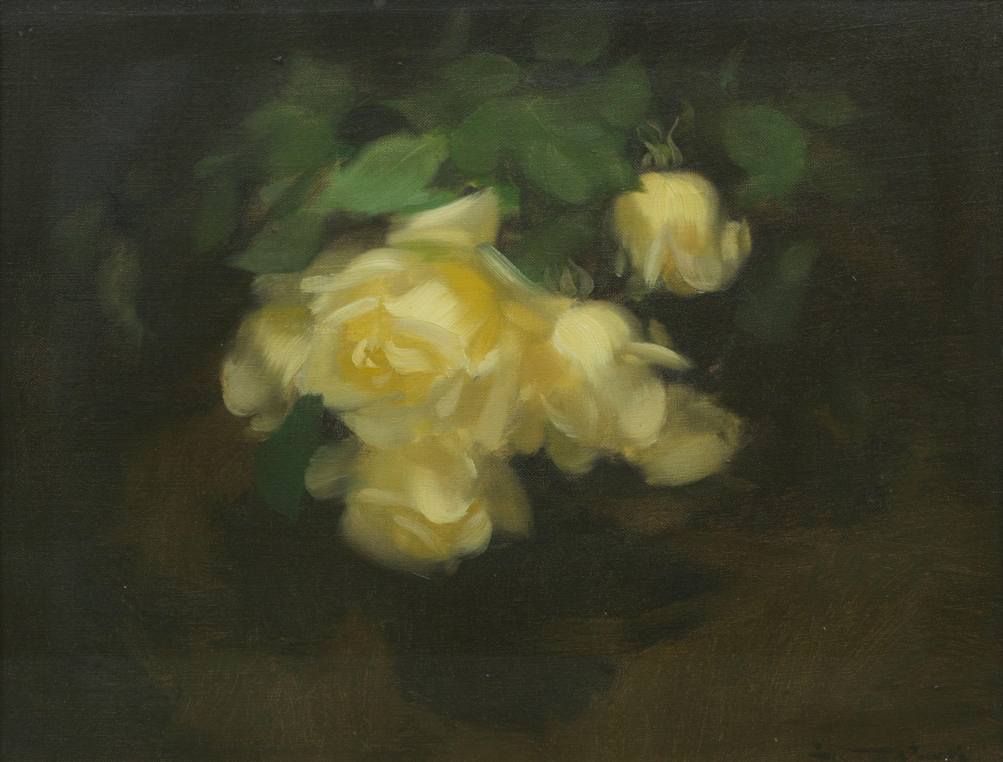 James Stuart Park - Yellow roses
