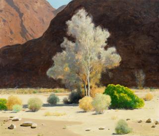 James Swinnerton - Canyon Shadows