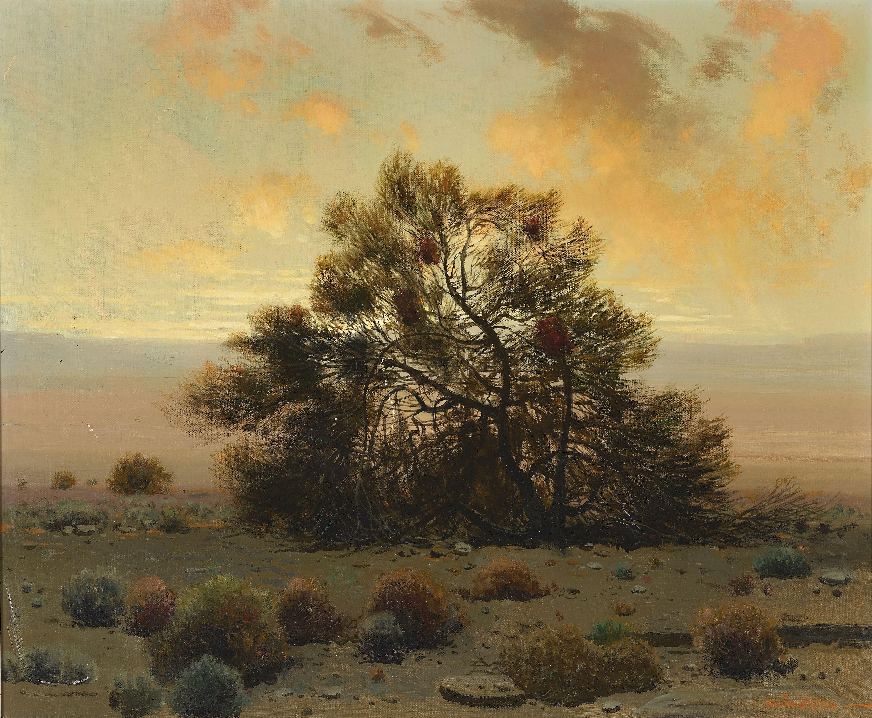 James Swinnerton - Desert sage brush