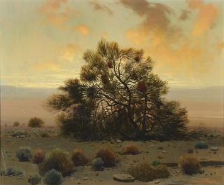 James Swinnerton - Desert sage brush