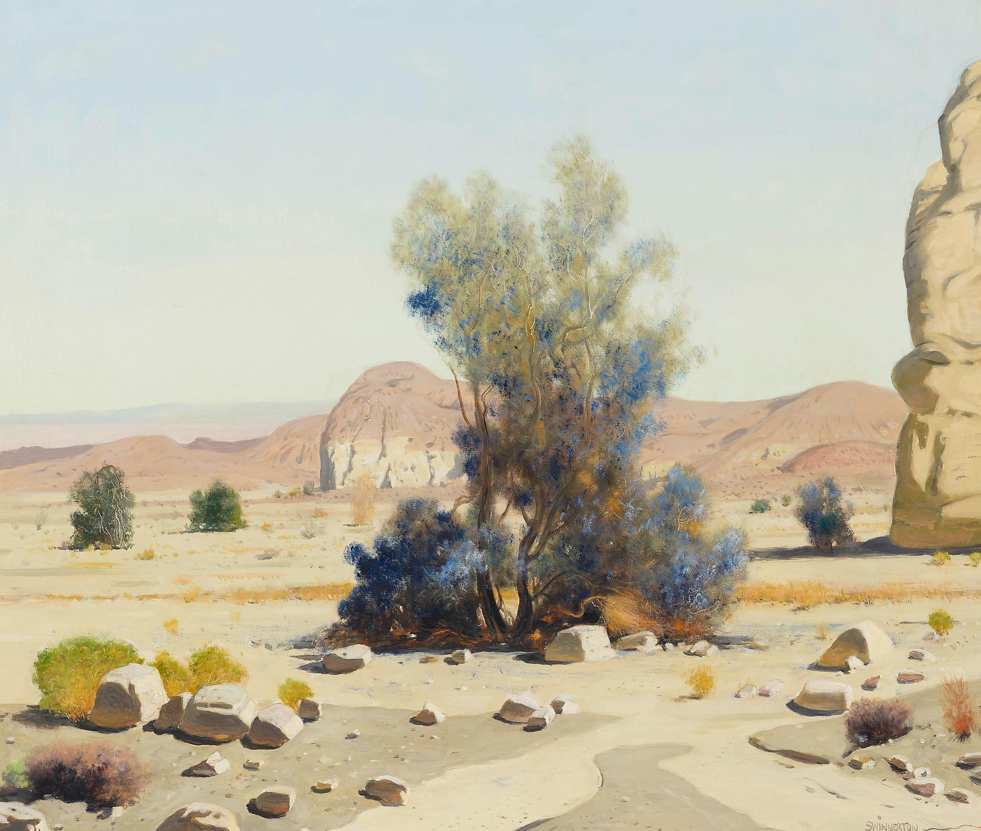 James Swinnerton - Desert Vista