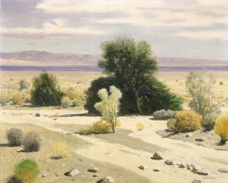 James Swinnerton - Drywash (near Salton Sea)