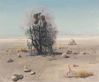 James Swinnerton - Ironwood in Bloom