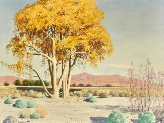 James Swinnerton - Yellow trees along a desert wash