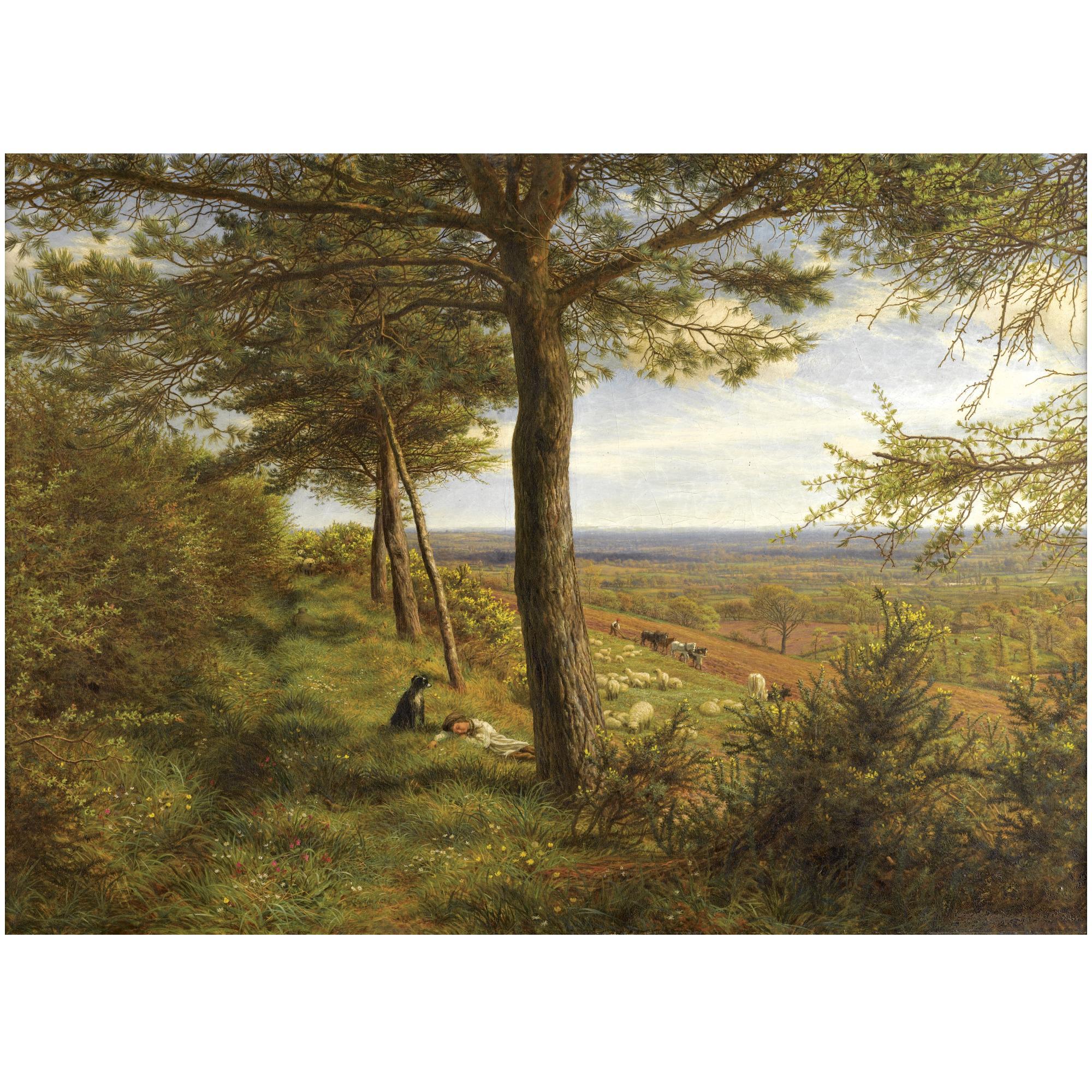 James Thomas Linnell - Firs And Furze