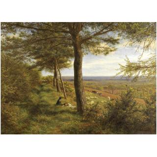 James Thomas Linnell - Firs And Furze