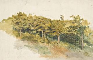 James Thomas Linnell - Study Of A Copse