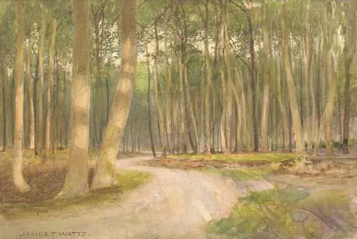 James Thomas Watts - An evening glow in the woods