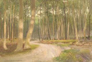 James Thomas Watts - An evening glow in the woods