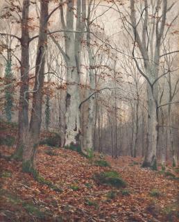 James Thomas Watts - Woodland Scenes: Spring; And Autumn (Illustrated)