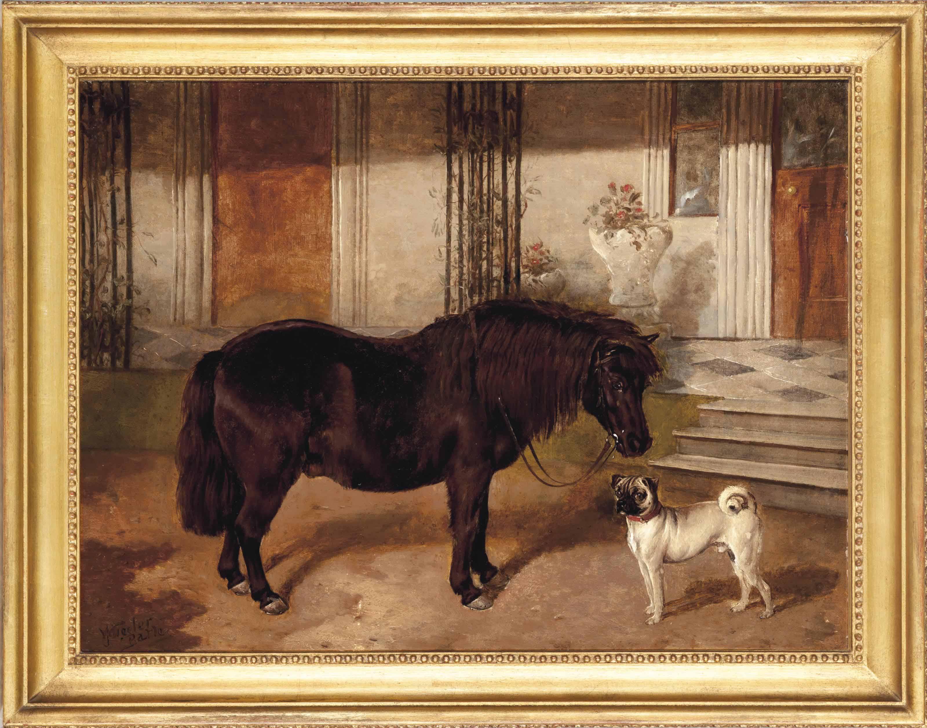 James Thomas Wheeler - A Shetland Pony And A Pug