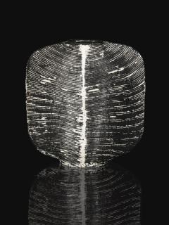 James Tower - Ribbed Chest Form