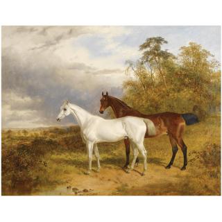 James Walsham Baldock - A Bay And Grey Horse In A Landscape