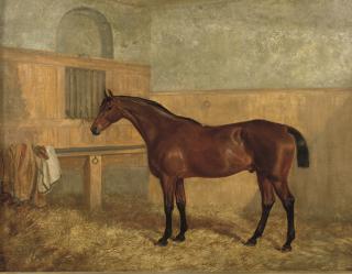 James Walsham Baldock - A Bay Hunter In A Stable