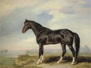 James Ward, R.A. - A Dongola Stallion From Nubia, In An Egyptian Landscape With Pyramids