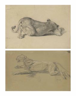 James Ward, R.A. - A study of a lioness sleeping; and Two écorché studies of a lioness