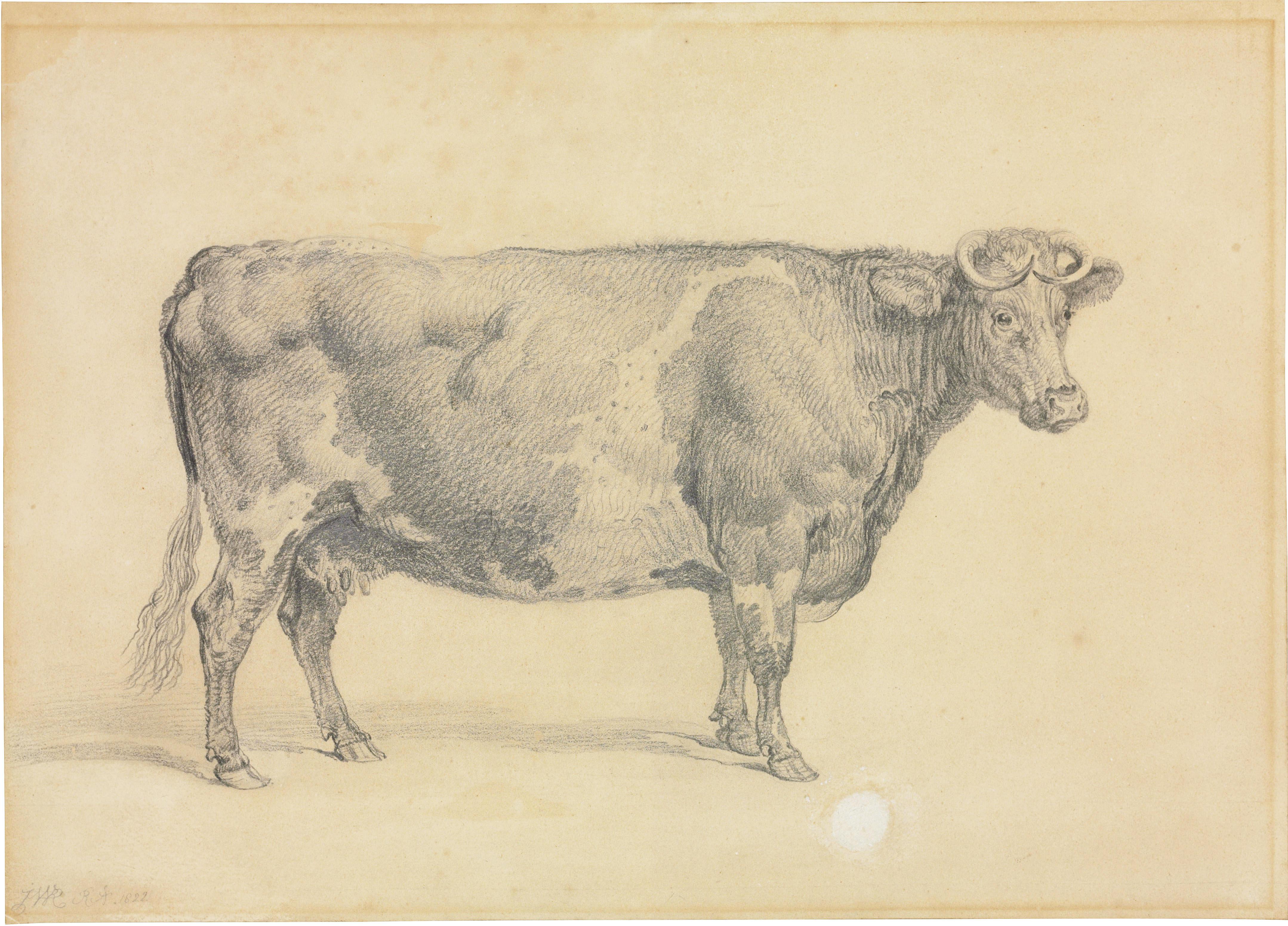 James Ward, R.A. - Mrs Arbuthnot\'s cow, Maria