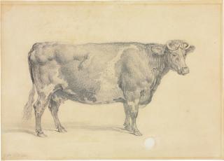 James Ward, R.A. - Mrs Arbuthnot\'s cow, Maria
