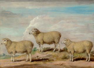 James Ward, R.A. - Reynolds\'s Bamtton Ram, Ewe and Wether