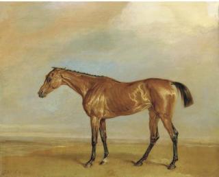 James Ward, R.A. - The Marquess of Exeter\'S Augusta, At Newmarket