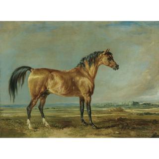James Ward, R.A. - The Marquess Of Londonderry\'S Arabian Stallion In A Landscape