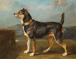 James Ward - A terrier in a landscape
