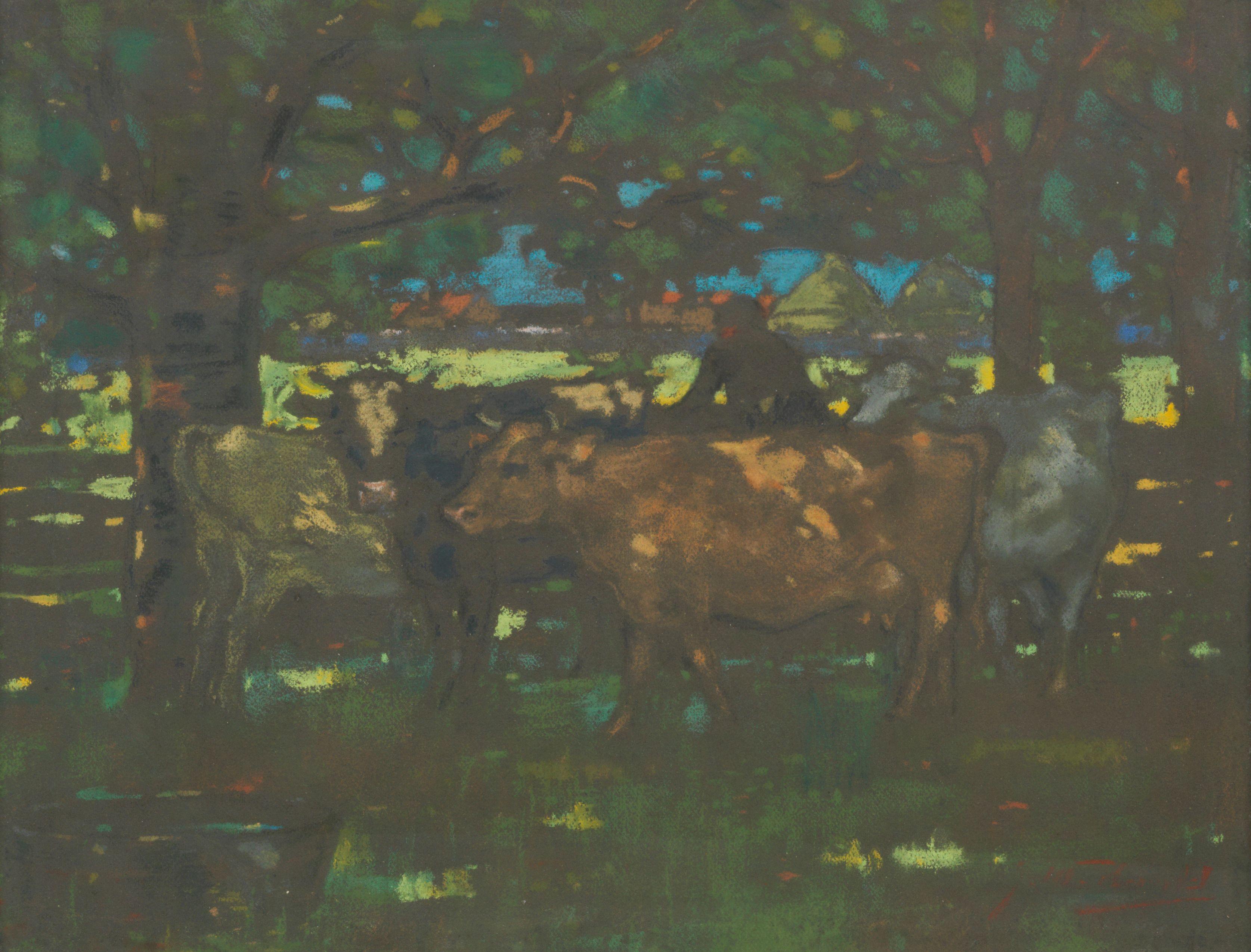 James Watterson Herald - Cattle resting in dappled shade