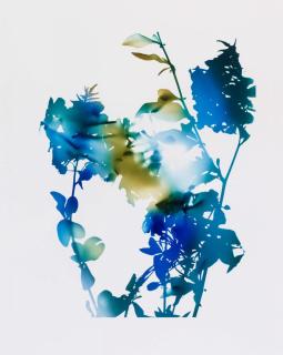 James Welling - 010b