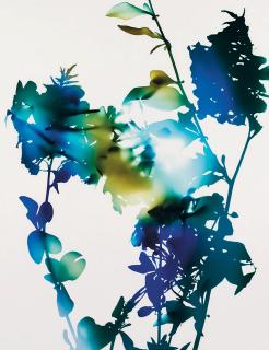 James Welling - 10B, 2006