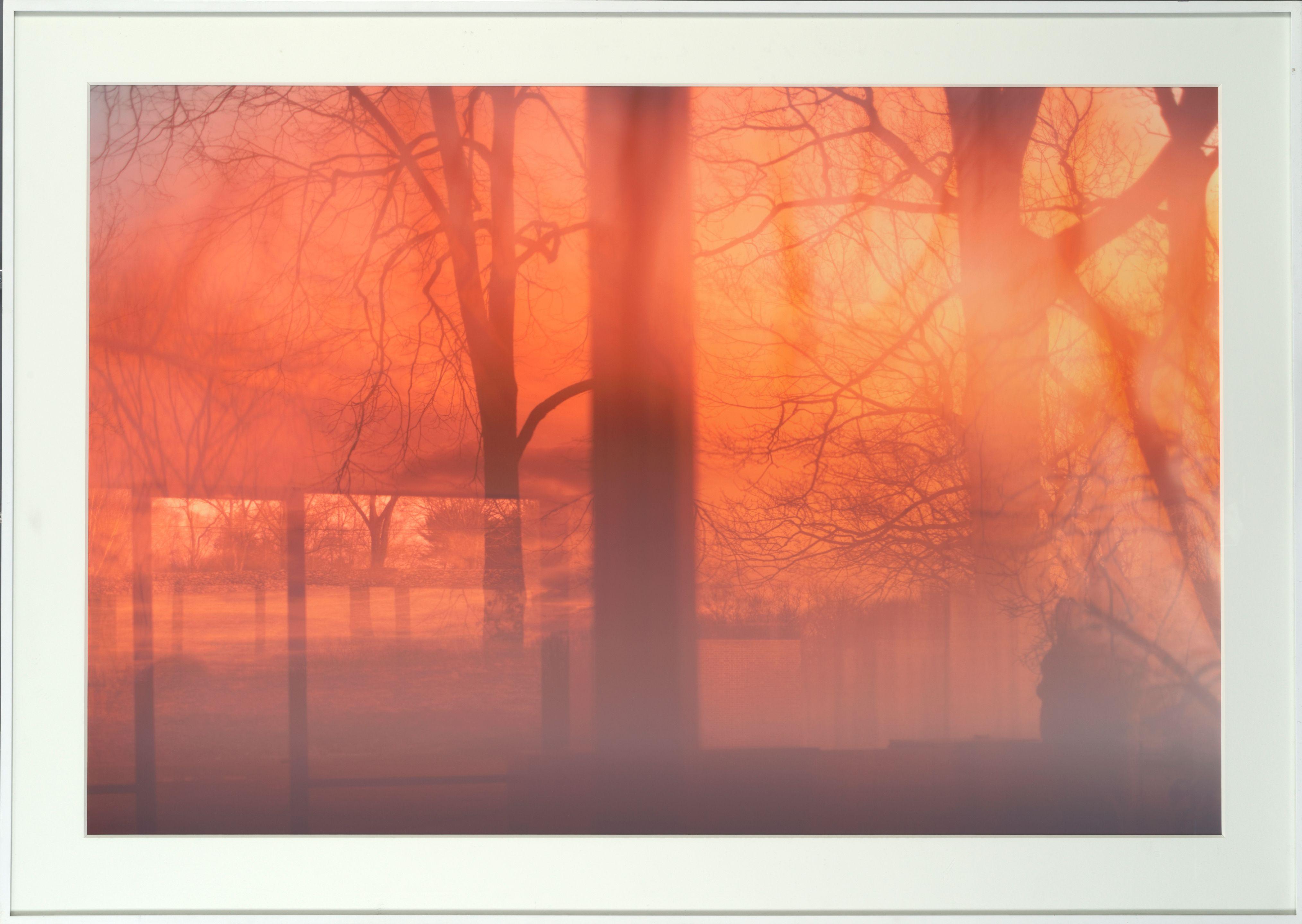 James Welling - 7484