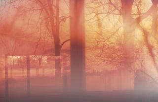 James Welling - 7484