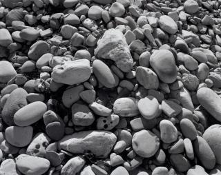 James Welling - Ellwood Beach 25