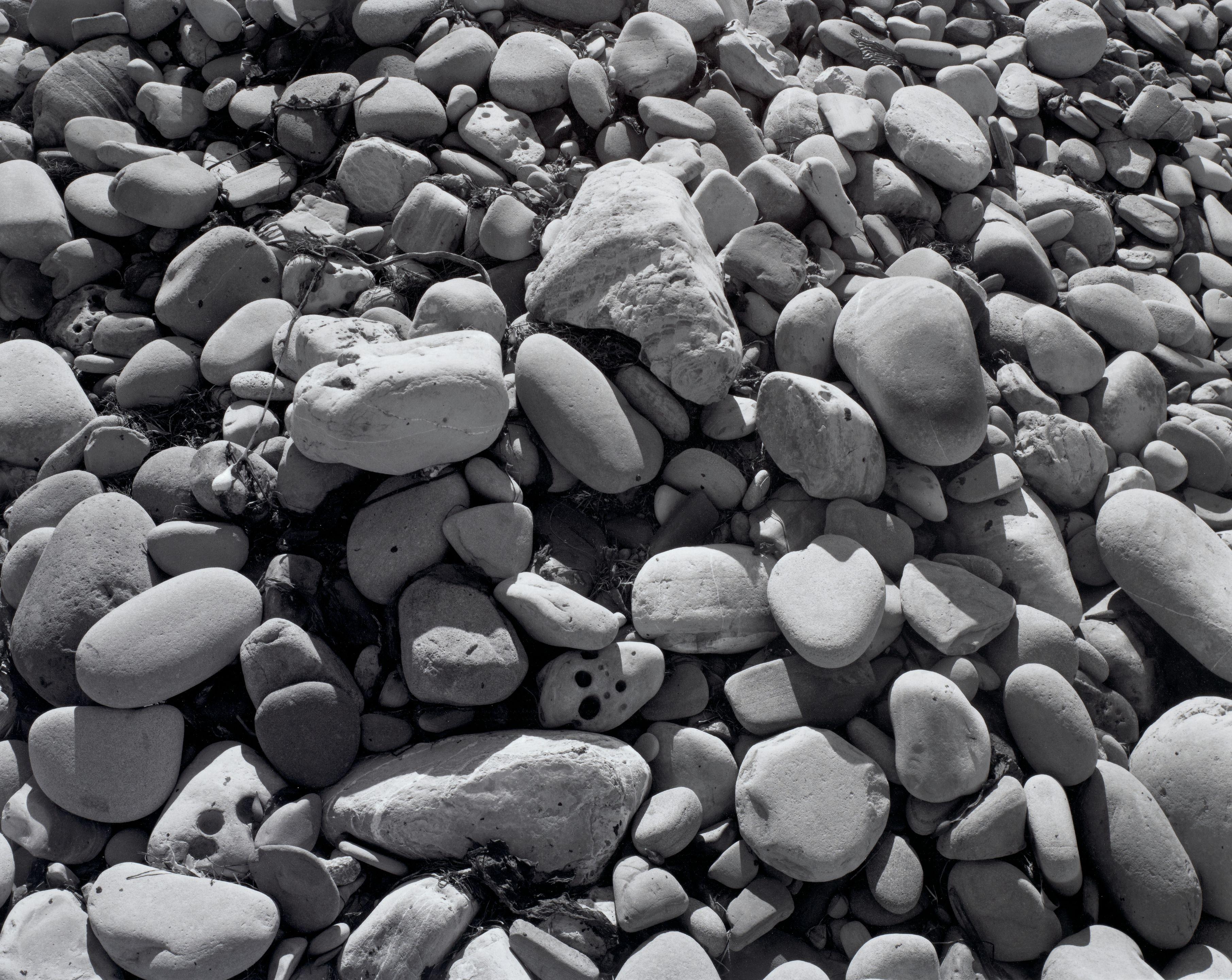 James Welling - Elwood Beach 25