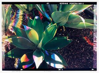 James Welling - H1, 2005