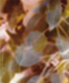 James Welling - Ibl 1, 2001 And Ia02, 2003