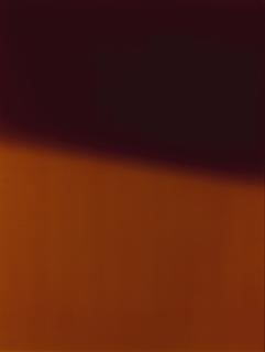 James Welling - \'Imsb\', 2005