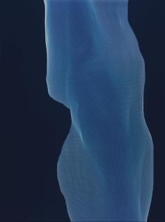 James Welling - Torso 1-55