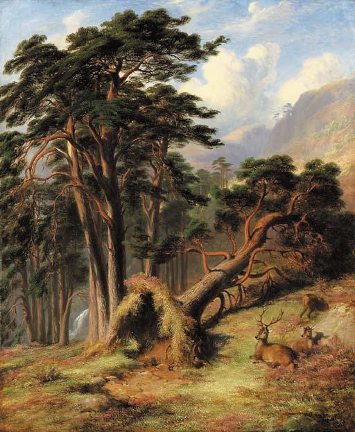 James William Giles, R.S.A. - Study in Glen Quoich, Mar Forest - after a gale