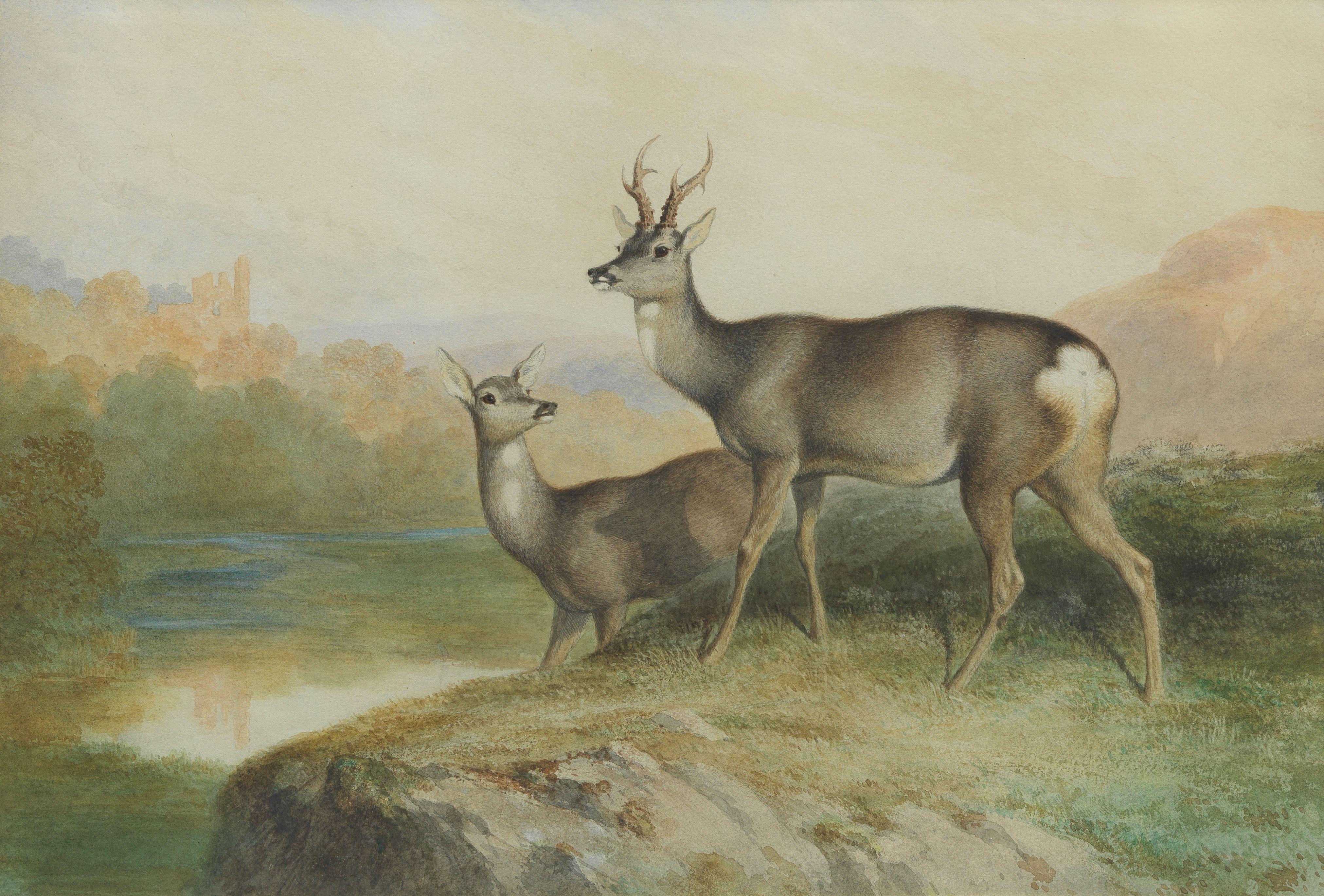James William Giles - My Heart\'s in the Highlands - A roe deer buck and hind